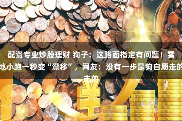 配资专业炒股理财 狗子：这路面指定有问题！雪地小跑一秒变“漂移”，网友：没有一步是狗自愿走的