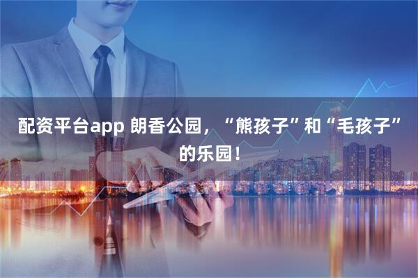 配资平台app 朗香公园，“熊孩子”和“毛孩子”的乐园！