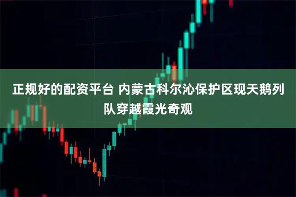 正规好的配资平台 内蒙古科尔沁保护区现天鹅列队穿越霞光奇观